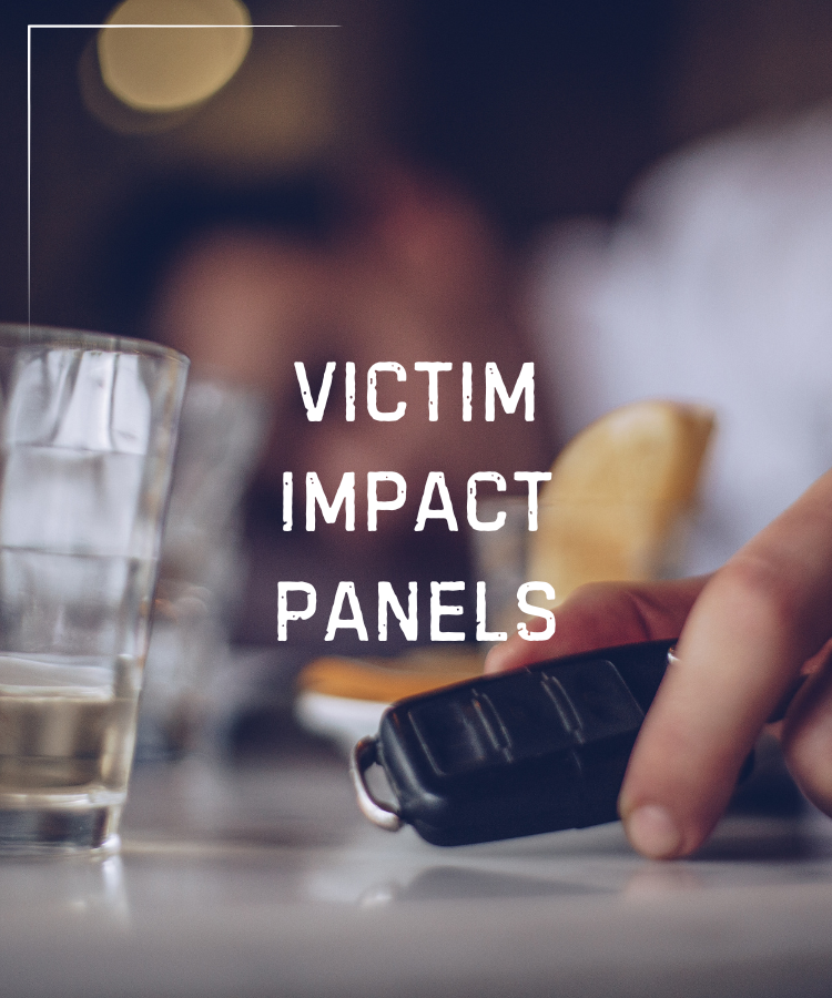 PANEL DE IMPACTO EN LAS VÍCTIMAS